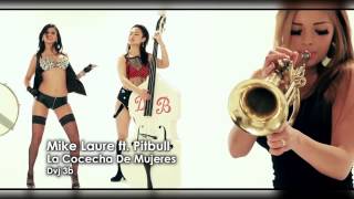 Mike Laure ft  Pitbull   La Cocecha De Mujeres Dvj 3b) fb