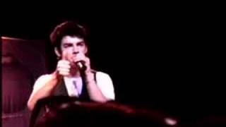 Jonas Brothers talking about a hippo