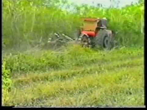 Roçadeiras Dalle Vedove