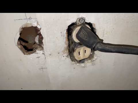 Major Mouse Infestation Behind the Stove in Tinton Falls, NJ