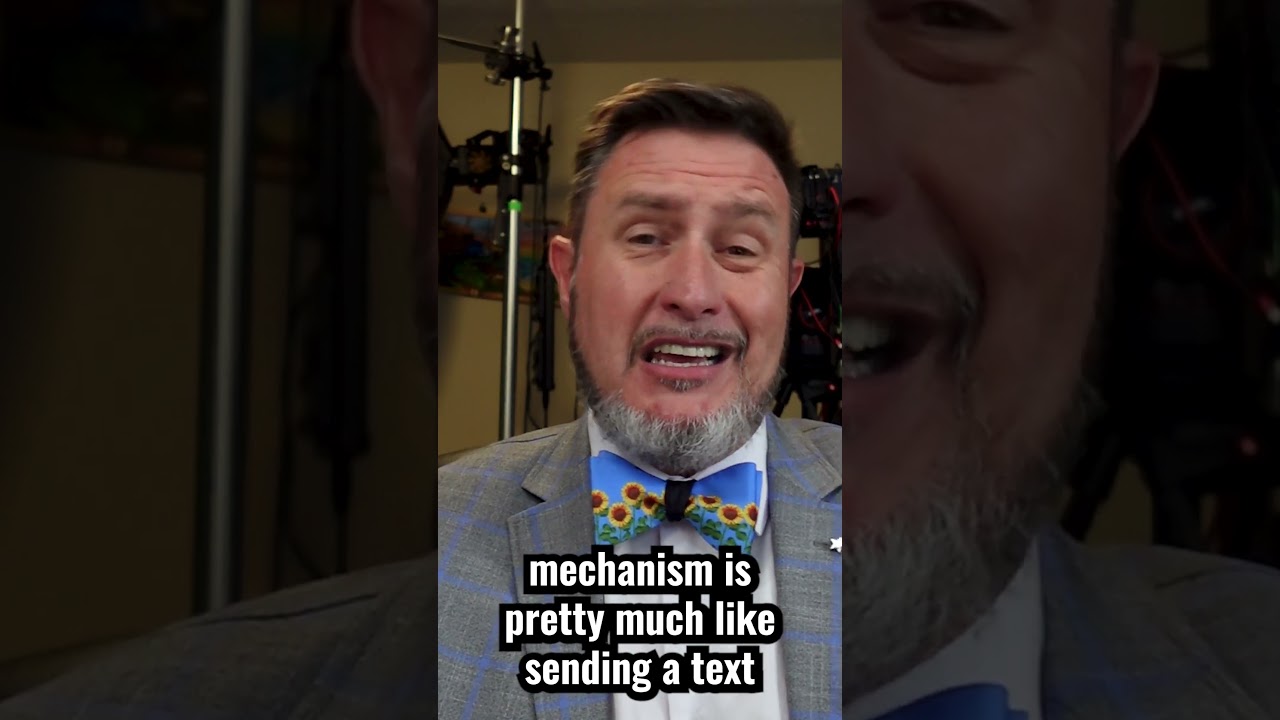 What is a Request for Payment in RTP and FedNow?