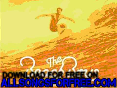 the beach boys - Beach Boys Medley            - The Platinum