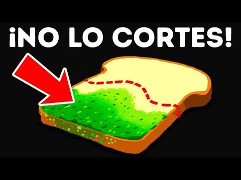 El yodo a las uñas del hongo de la foto Los ungüentos para el tratamiento del hongo de las uñas