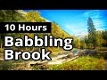 Babbling Brook in a Forest 10 HOURS - Sleep Sounds - Relaxation - Meditation