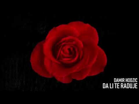 DAMIR HODZIC - DA LI TE RADUJE