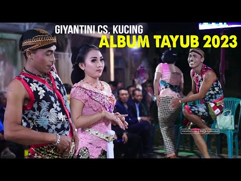 TAYUB PALING NYAMPLENG 2023  ||  GIYANTINI CS KUCING