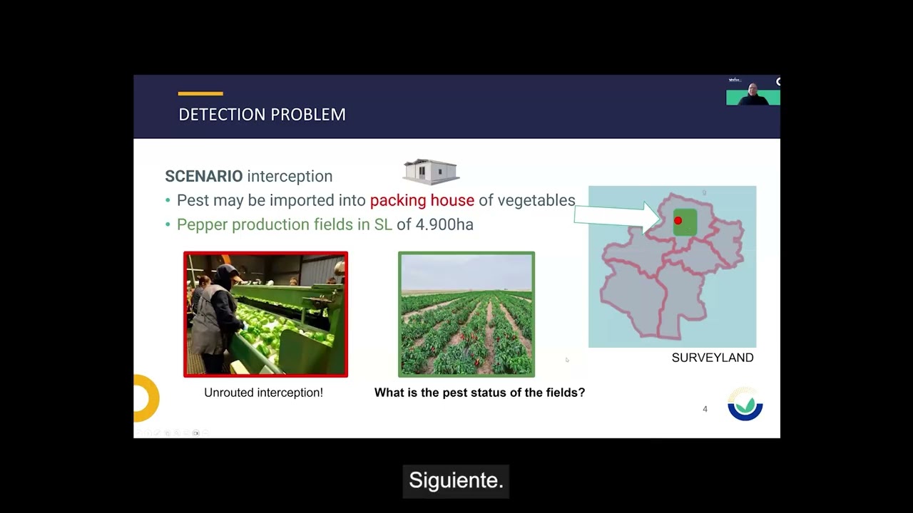 Statistically sound survey of Anthonomus eugenii - Spanish subtitles