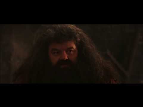 NO PER ME È MORTO NO È ANCORA IN CIRCOLAZIONE HAGRID