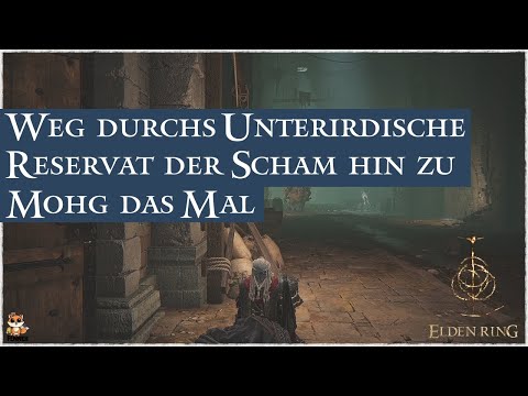 Elden Ring: The Path Through the Underground Preserve of Shame | Leyndell Underground to Mohg the...