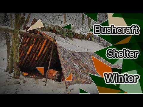 Bushcraft Survival Shelter | Wildschwein will Steak | Winter Solo Overnight | Biwak