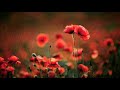 Rain Status Rain Whatsapp Status Barish Status Rainy Day Rainy Season Nature Rain Rain