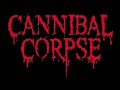 The Exorcist (Possessed Cover) - Cannibal Corpse Lyrics Video