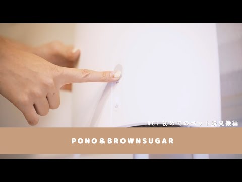 【ポメチワお迎え】愛犬と快適な日常を！ペット脱臭機