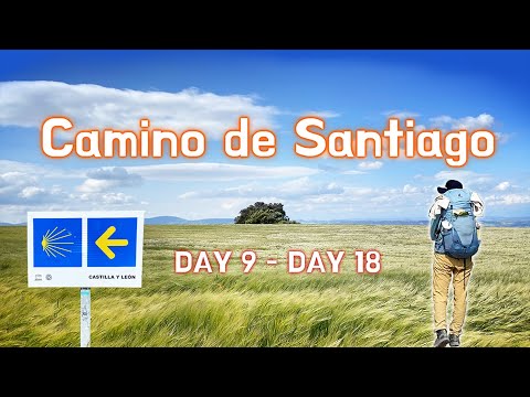 #3 [Peregrinação a Santiago] DIA 9 - DIA 18 Acima da colina está o horizonte do campo de trigo