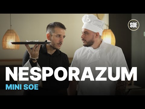 MINI SOE | Veliki Nesporazum