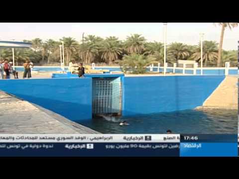 ⁣عيون الماء بالاحساء برنامج وثائقي
