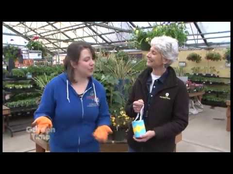 download lagu mp3 mp4 May Day Baskets For Neighbors, download lagu May Day Baskets For Neighbors gratis, unduh video klip May Day Baskets For Neighbors