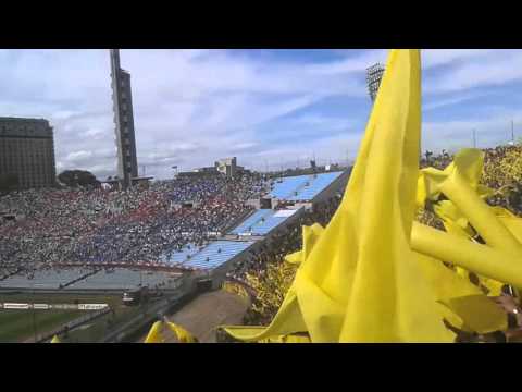 "Lo dejo todo por peñarol" Barra: Barra Amsterdam &bull; Club: Peñarol &bull; País: Uruguay