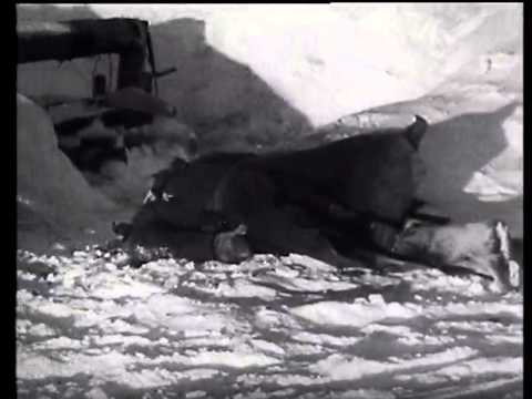 RITIRATA DI NIKOLAJEWKA: LA VOCE DI DUE REDUCI