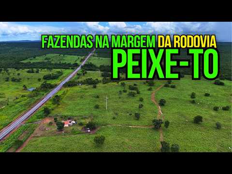 A MELHOR FAZENDA À VENDA NO TOCANTINS DE PORTEIRA FECHADA