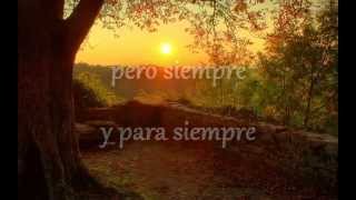 SayWeCanFly-Summer Never Came sub español