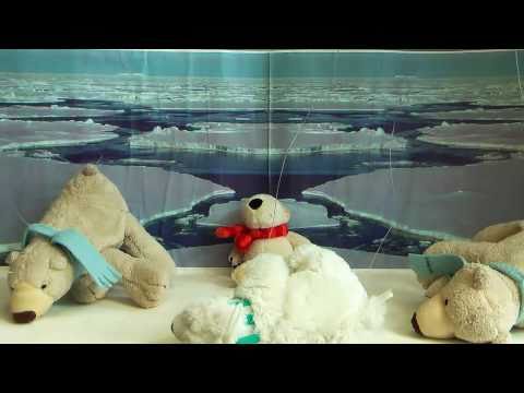 Pelzträger - Video einer Schul-AG