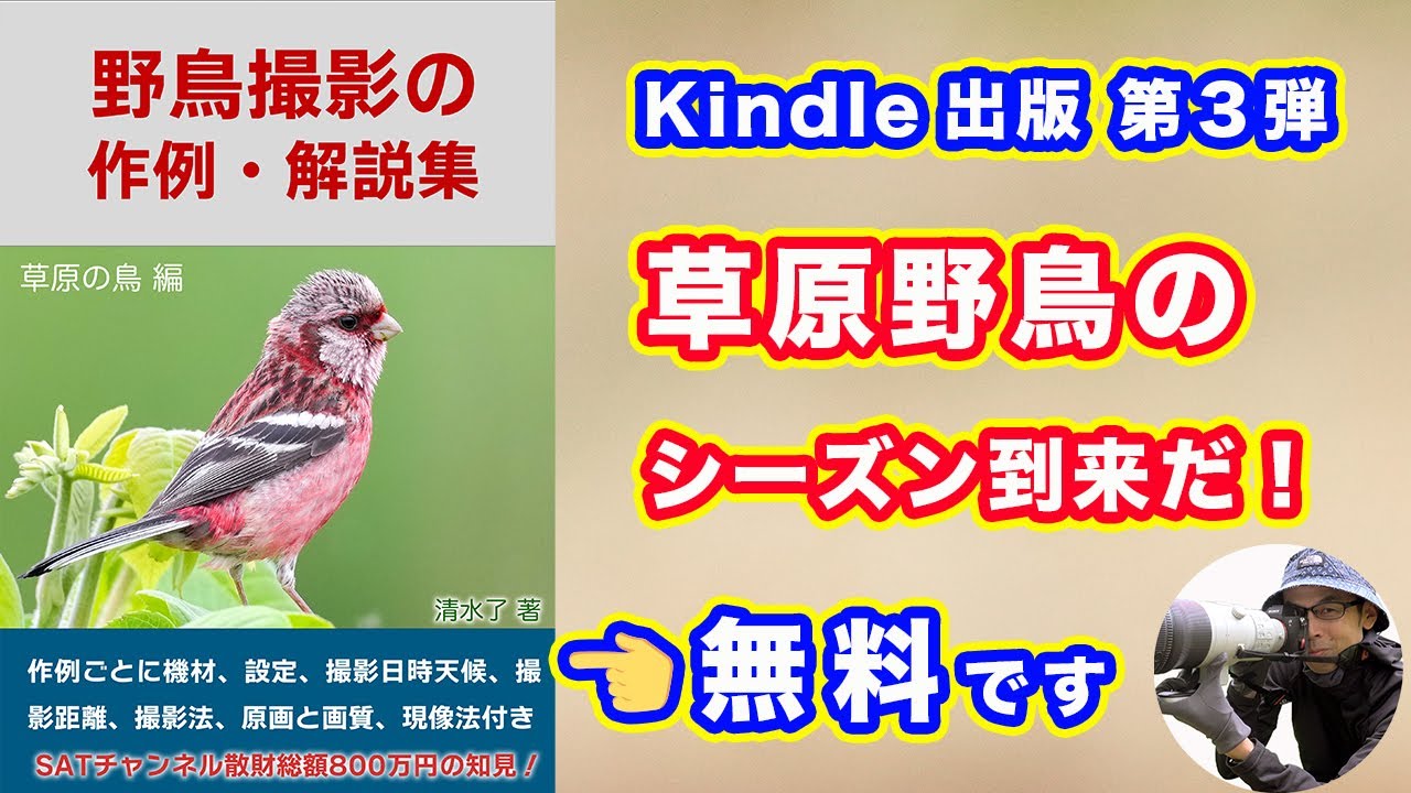 【キンドル出版】野鳥撮影の作例解説集「草原の鳥 編」【草原野鳥のシーズン到来だ！】