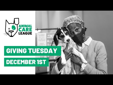 Pets & People Support Program | CUDDLY Pets & People Support Program | CUDDLY