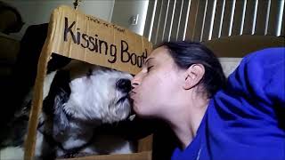 Sheepie kissing booth