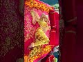 Roja Sexplosion Too Hottest Roja Navel Hot