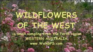 preview picture of video 'Wildflowers of the West - photos movie - WalkGPS - Oct. 2010'