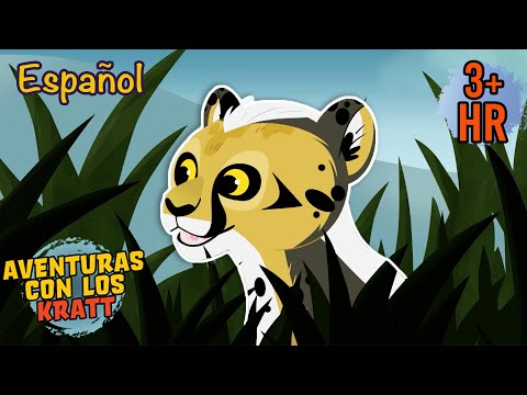 Los cachorros de guepardo se esconden [episodios completos] Aventuras con los Kratt