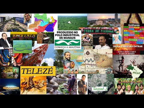 TOP 30 CURIOSIDADES DO AMAZONA QUE VOCÊ NAO SABIA.
