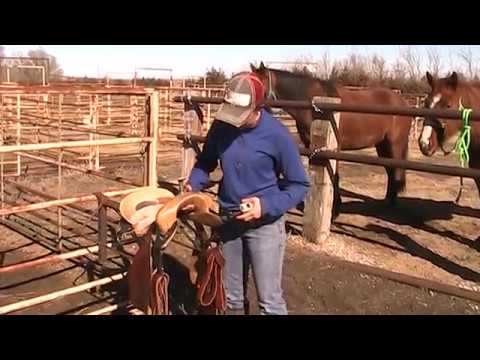 Gullet size, Bar angle and Bar spread