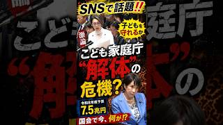 SNS騒然 #政治 #国会 #切り抜き #政治ニュース #高市早苗 #子ども家庭庁