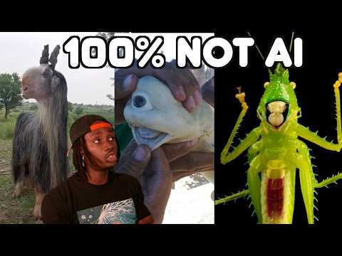 Animals That Not Even AI Could Come Up With