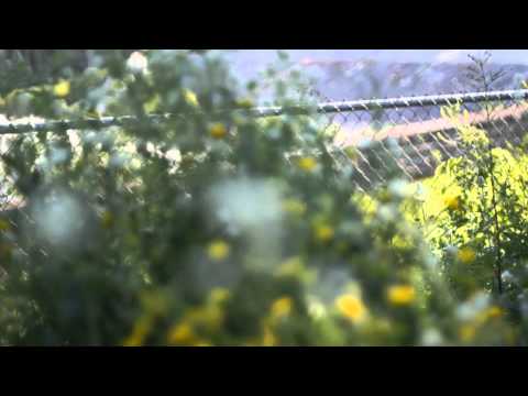 Greg Grease - Got till its gone(Official Music Video)