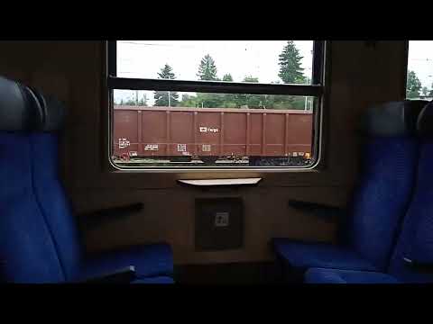 224-0 Marek, 222-7 Rozárka a 207-8 Radka v Jihlavě (8.7.2021) (Můj poslední den s Rozárkou) (R.I.P.)