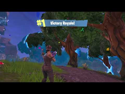 14 Kill Game with Renegade Raider