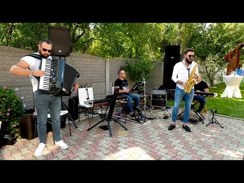Vest Music || Program Instrumental live  || Nunta Mihaela si Cipri || 4K 2020