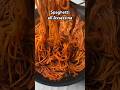 Assassin S Spaghetti Recipe In The Description