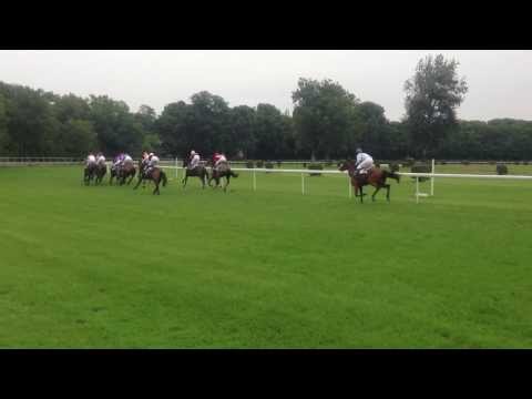 Dostihy Bratislava 25.8.2013