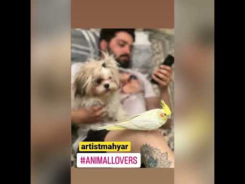 Hello friends, I am Mahyar and I love animals 🐶🦅🐠🕊🐈‍⬛