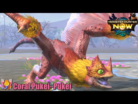 CORAL PUKEI PUKEI FIRST LOOK! Weapons Armor Gameplay ~ MONSTER HUNTER NOW