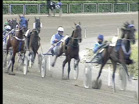 Trotto 21/04/2017 - 6ª corsa