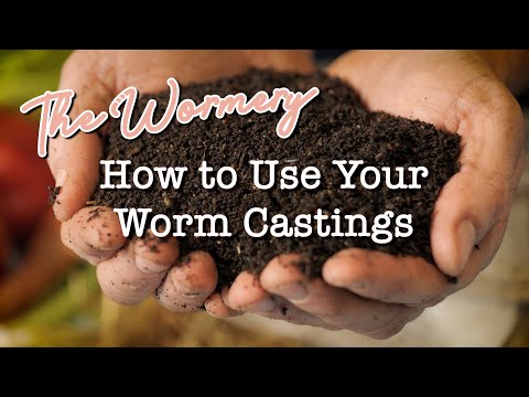 The Wormery Project Tour - How to Use Castings