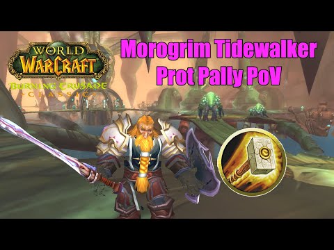 Morogrim Tidewalker Prot Paladin PoV - TBC Classic Phase 2