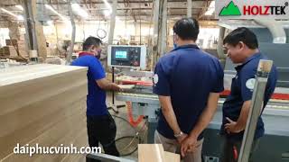 MÁY DÁN CẠNH HOLZTEK PRO-610H DÁN VENEER CHỈ GỖ TUYỆT ĐẸP