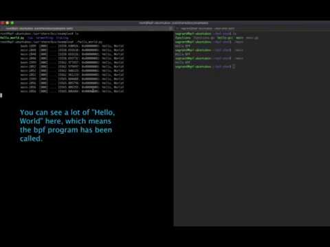 ebpf/bpf hello world example