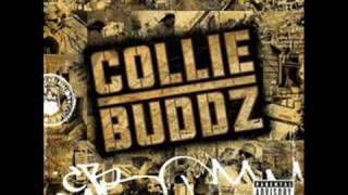 Collie Buddz ft. Paul Wall - What a feeling